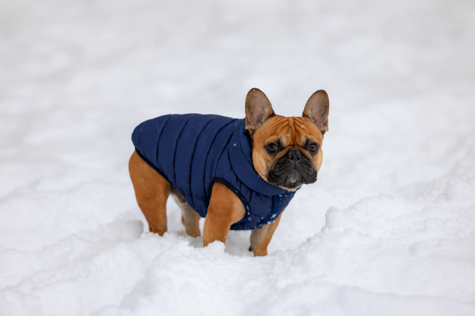 Inverno Prestigio
