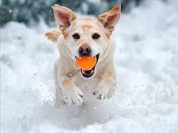 Balles