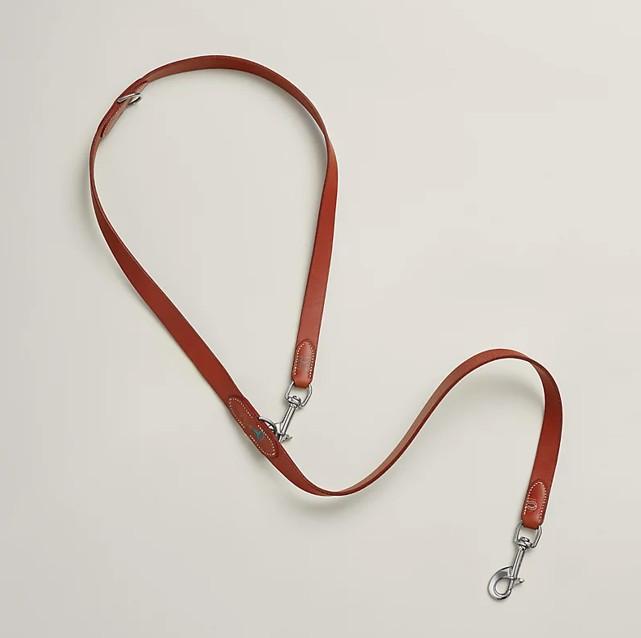 Guinzaglio per cane