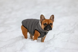 Inverno Prestigio